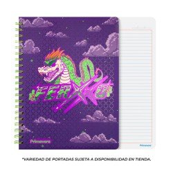 CUADERNO DOBLE ANILLO PRIMAVERA FERXXO 13564 100H TD RAYADO (6X8)