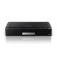 IMPRESORA EPSON WORKFORCE WF-100 PORTATIL