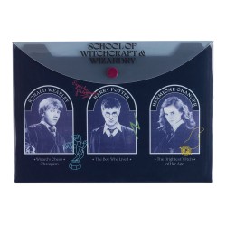 SOBRE PLASTICO MOOVING BROCHE A5 HARRY POTTER