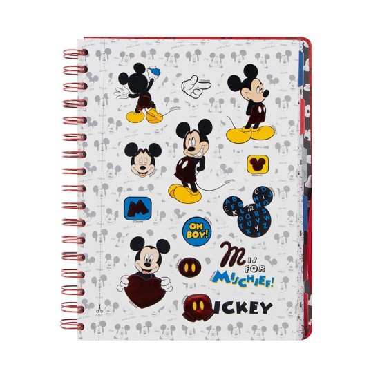 PLANEADOR PRIMAVERA MICKEY (2X12)