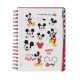 PLANEADOR PRIMAVERA MICKEY (2X12)