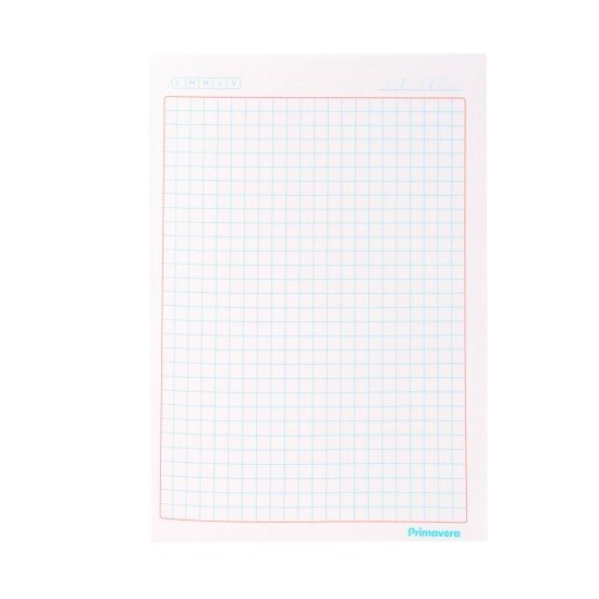CUADERNO DOBLE ANILLO PRIMAVERA 100H TD MASCULINO CUADROS 5MM (6X8)