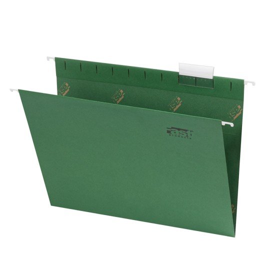 FOLDER COLGANTE FAST CX25 CARTA 3269 VERDE TRAD (10)