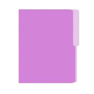 FOLDER FLASHFILE CARTA LILA (5X100)