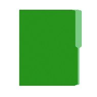 FOLDER FLASHFILE CARTA VERDE (5X100)