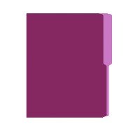 FOLDER FLASHFILE CARTA VIOLETA (5X100)