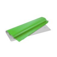 PAPEL LUSTRE FAST 21.5X27" BX100 25 VERDE LIMON
