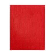 CARTULINA LINO FAST PX50 CARTA 250 ROJO (38)