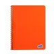 CUADERNO CON ESPIRAL QUICK 100H PLANNER RAYADO (72)