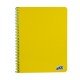 CUADERNO CON ESPIRAL QUICK 100H PLANNER RAYADO (72)