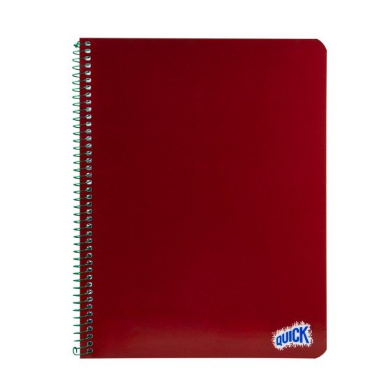 CUADERNO CON ESPIRAL QUICK 100H PLANNER RAYADO (72)