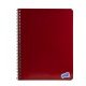 CUADERNO CON ESPIRAL QUICK 100H PLANNER RAYADO (72)