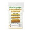ESPONJA ROYAL COMPRIMIDA CW3460 BX4