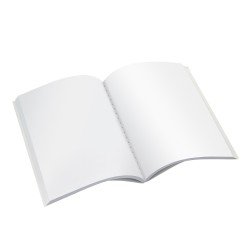 CUADERNO COSIDO CONQUISTADOR 100H PEQ 3808 LISO (100)