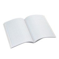 CUADERNO COSIDO CONQUISTADOR 100H PEQ 3809 RAYADO (100)