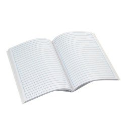 CUADERNO COSIDO CONQUISTADOR 100H PEQ 3809 RAYADO (100)