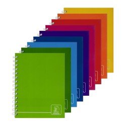 CUADERNO DOBLE ANILLO CONQUISTADOR 100H TD #2 3071 CUAD (60)