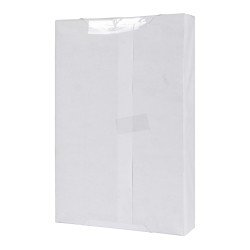 CARTON CHIP C-80 PX25 OFICIO 