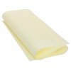 CARTULINA PERGAMON 160G 50X70CM AVORIO (25)