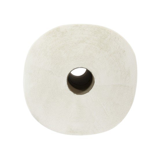 TOALLA DE PAPEL BIOSOFT DE 250MT PARA MANOS CX12