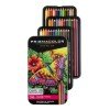 CRAYON DE MADERA PRISMACOLOR PREMIER 36C