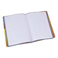 CUADERNO COSIDO FAST 100H PEQUEÑO CUADROS 5 (12X6)