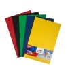 PAPEL BOND 75G FAST PX100 OFICIO COLORES BASICOS (30)