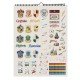 CALENDARIO MOOVING 2026 1419222 HARRY POTTER (6X8)
