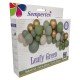 GLOBO SEMPERTEX KIT DIY SURTIDO HOJAS VERDES (16)
