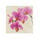 SERVILLETAS DECORADAS PX5 DISEÑOS VARIOS