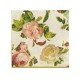 SERVILLETAS DECORADAS PX5 DISEÑOS VARIOS