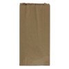 BOLSA DE PAPEL KRAFT BX100 DE 8LB (5)