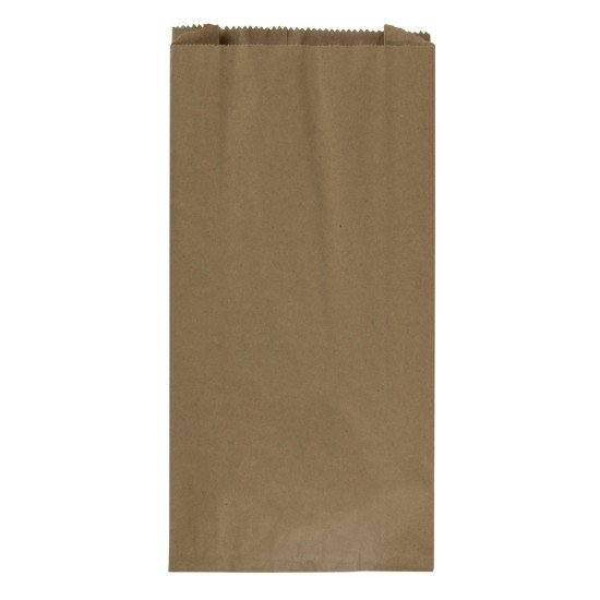 BOLSA DE PAPEL KRAFT BX100 DE 8LB (5)