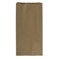 BOLSA DE PAPEL KRAFT BX100 DE 12LB (5)