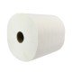 TOALLA DE PAPEL BIOSOFT PARA MANOS 250MT