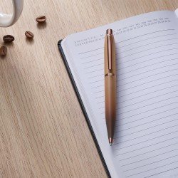 BOLIGRAFO SHEAFFER VFM 42851 COFFE