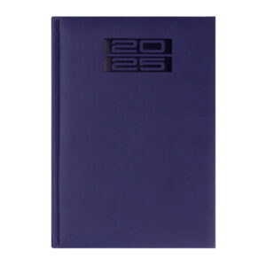 AGENDA DIARIA FAST 2025 VINCI MORADO (40)