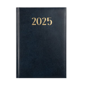 AGENDA DIARIA FAST 2025 MANIVA AZUL (44)