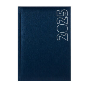 AGENDA DIARIA FAST 2025 LUNA AZUL (40)